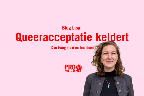 Lisa Blog Queeracceptatie